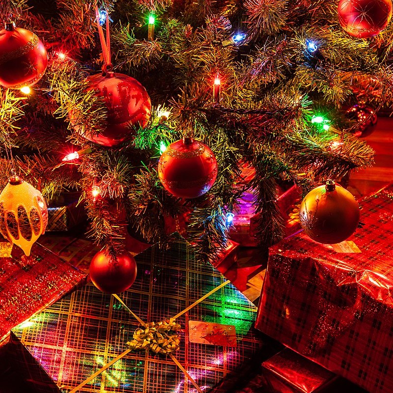 Christmas Trees and Etymologies